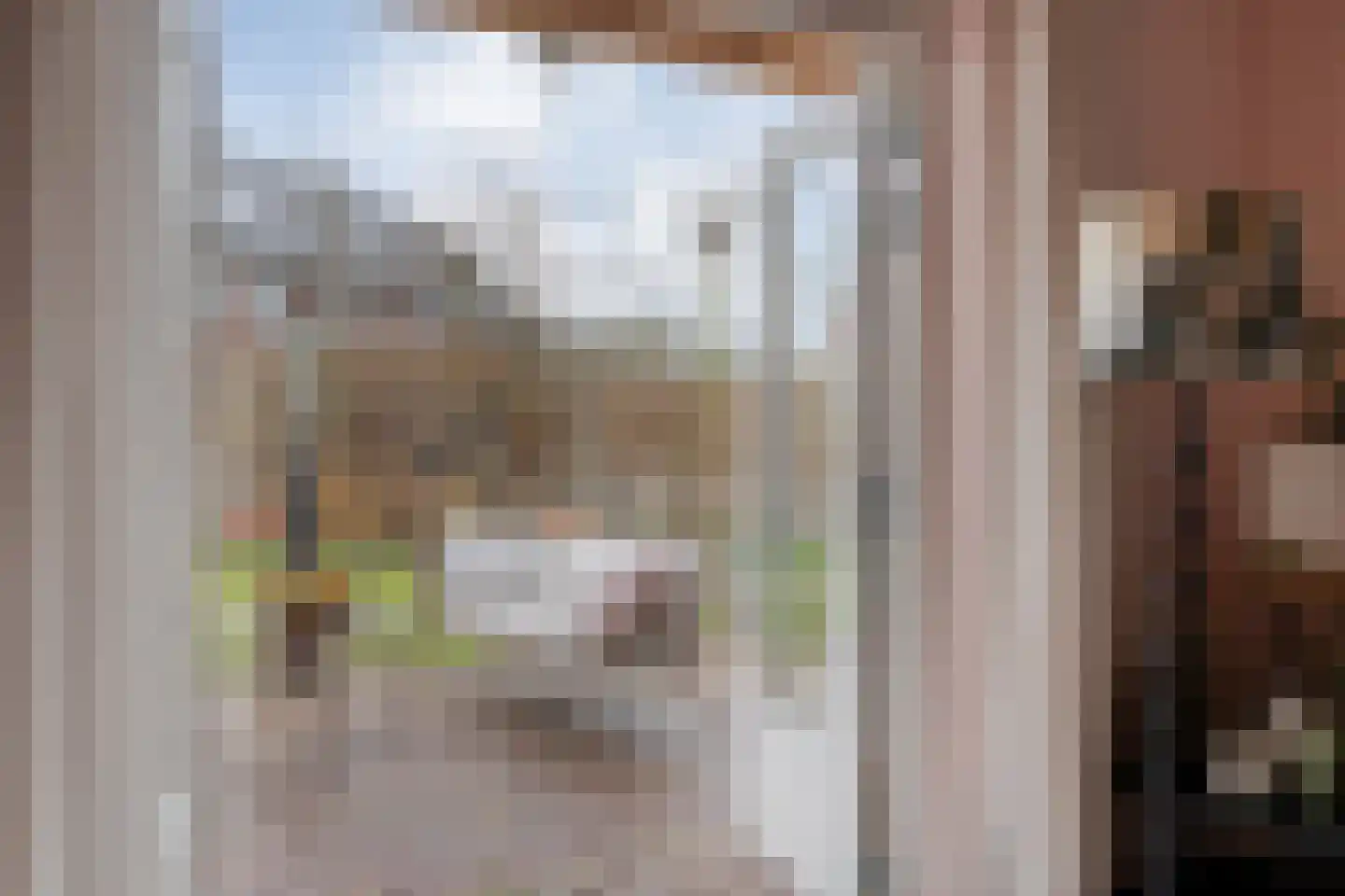 Ambachtsstraat 5 Nieuw Heeten thumbnail 44