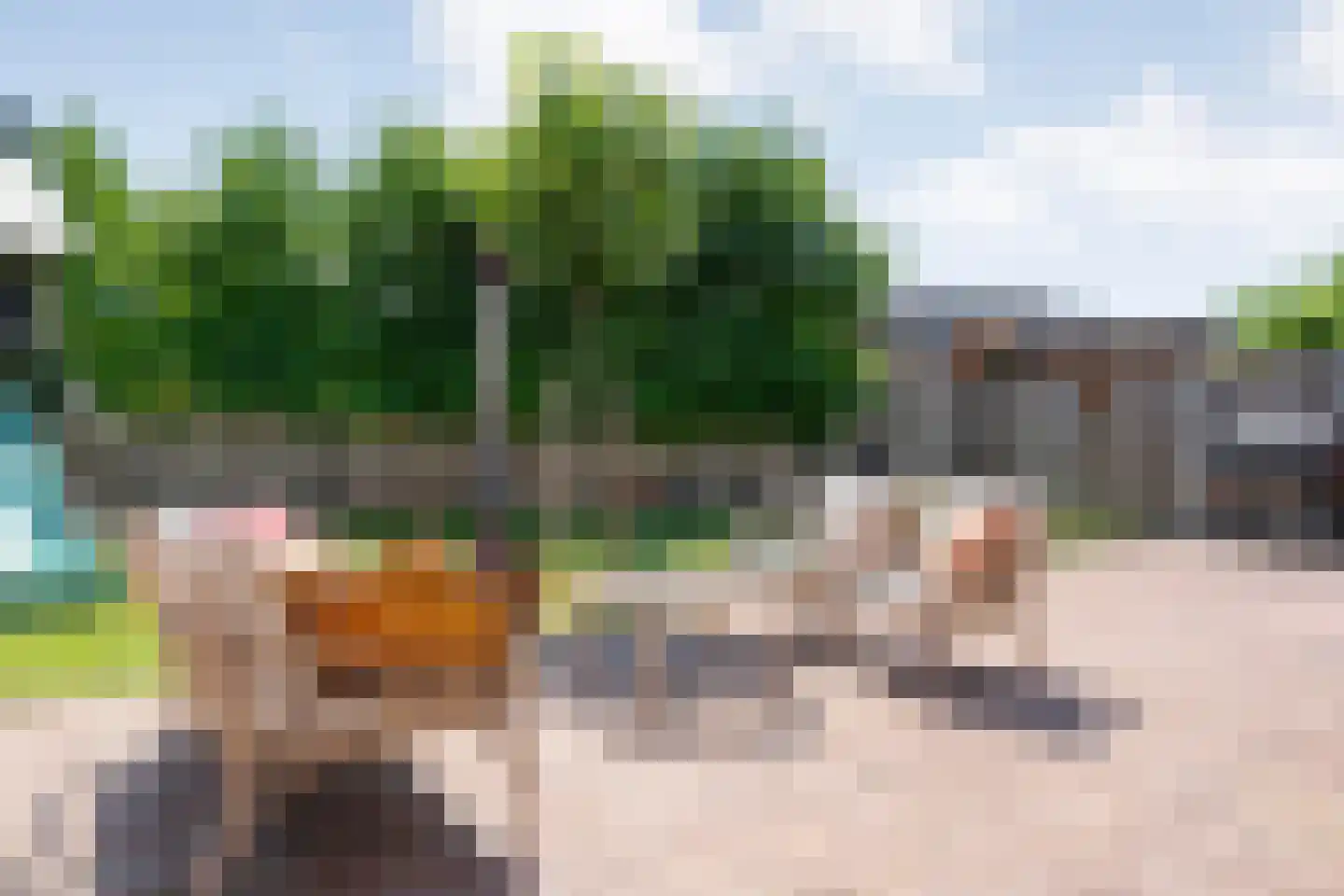 Ambachtsstraat 5 Nieuw Heeten thumbnail 46