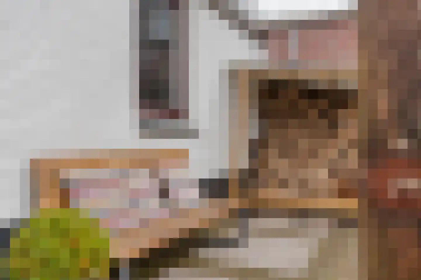 Ambachtsstraat 5 Nieuw Heeten thumbnail 49