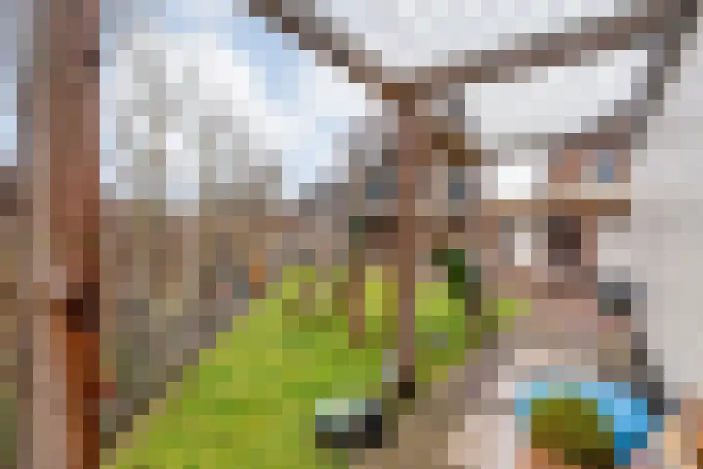 Ambachtsstraat 5 Nieuw Heeten thumbnail 50
