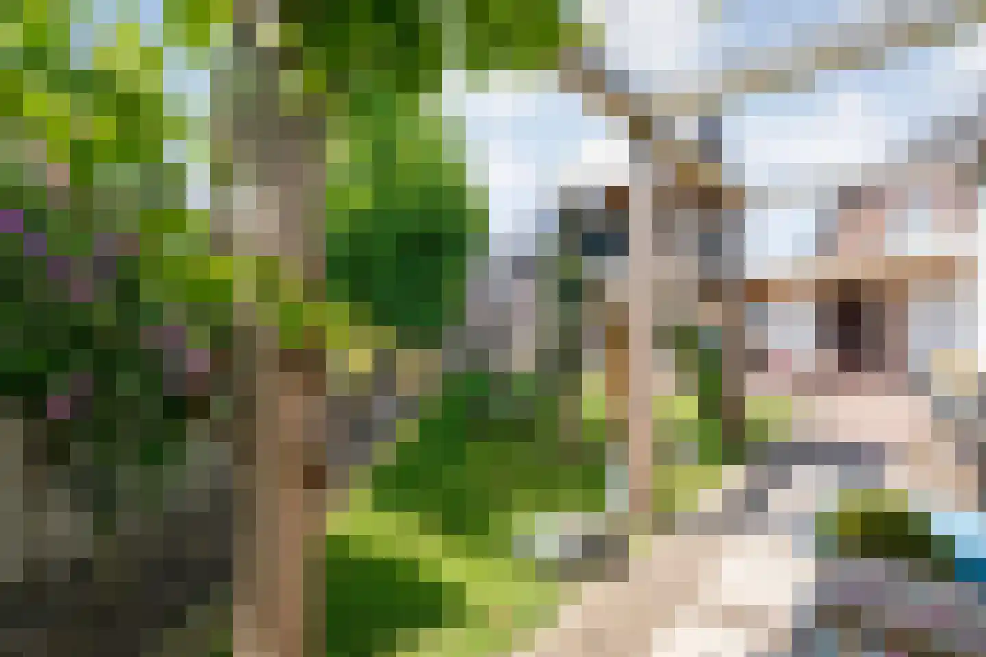 Ambachtsstraat 5 Nieuw Heeten thumbnail 51