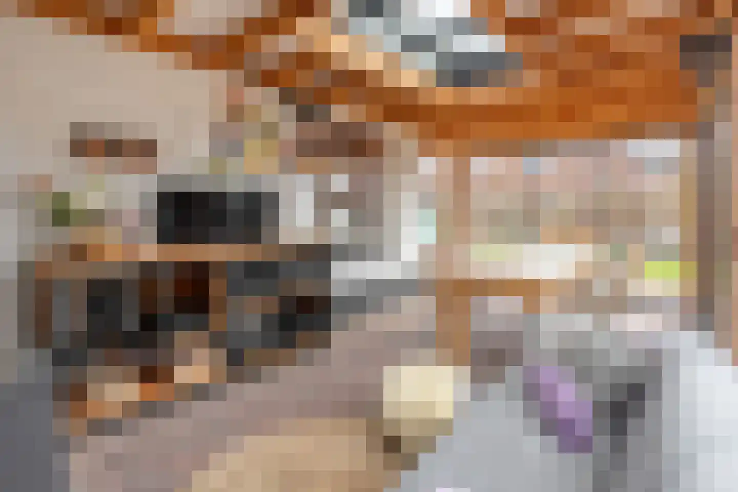 Ambachtsstraat 5 Nieuw Heeten thumbnail 52