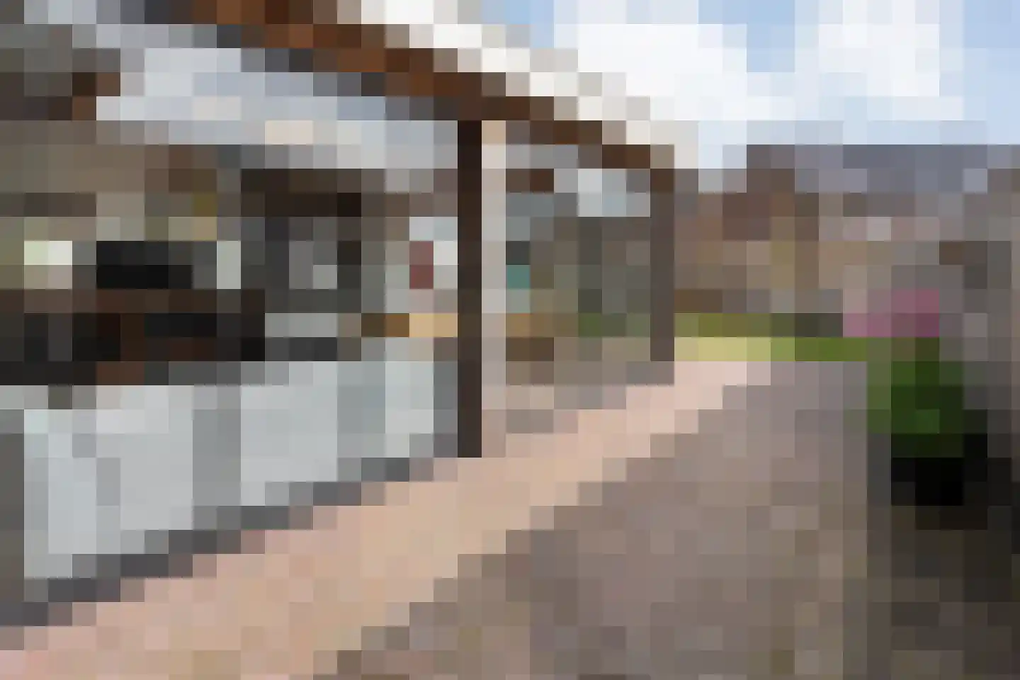 Ambachtsstraat 5 Nieuw Heeten thumbnail 55