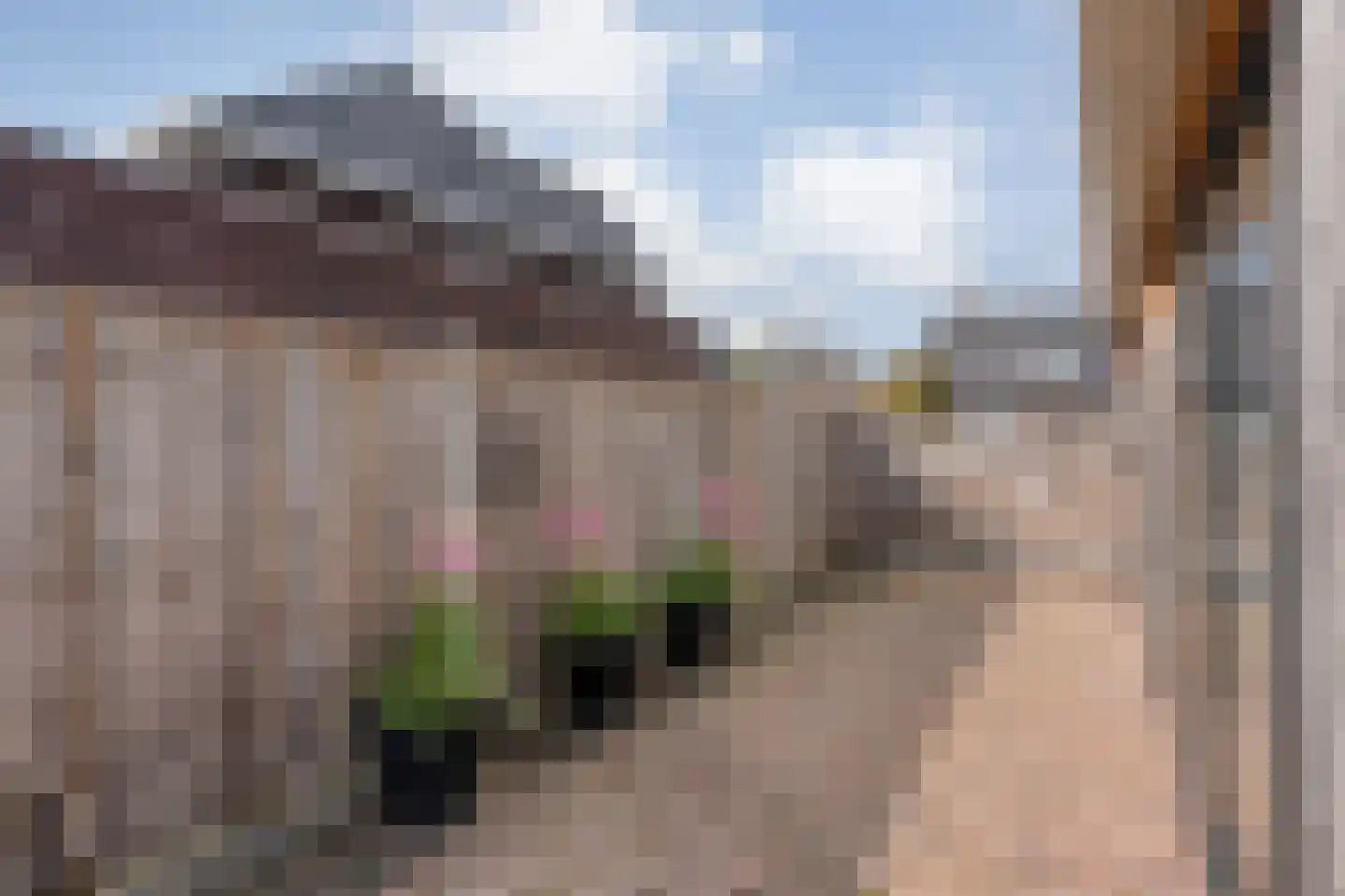 Ambachtsstraat 5 Nieuw Heeten thumbnail 56