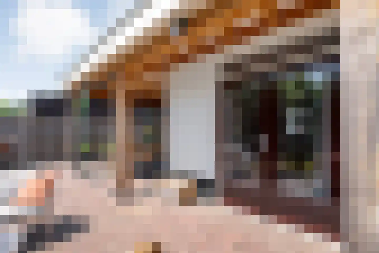 Ambachtsstraat 5 Nieuw Heeten thumbnail 57