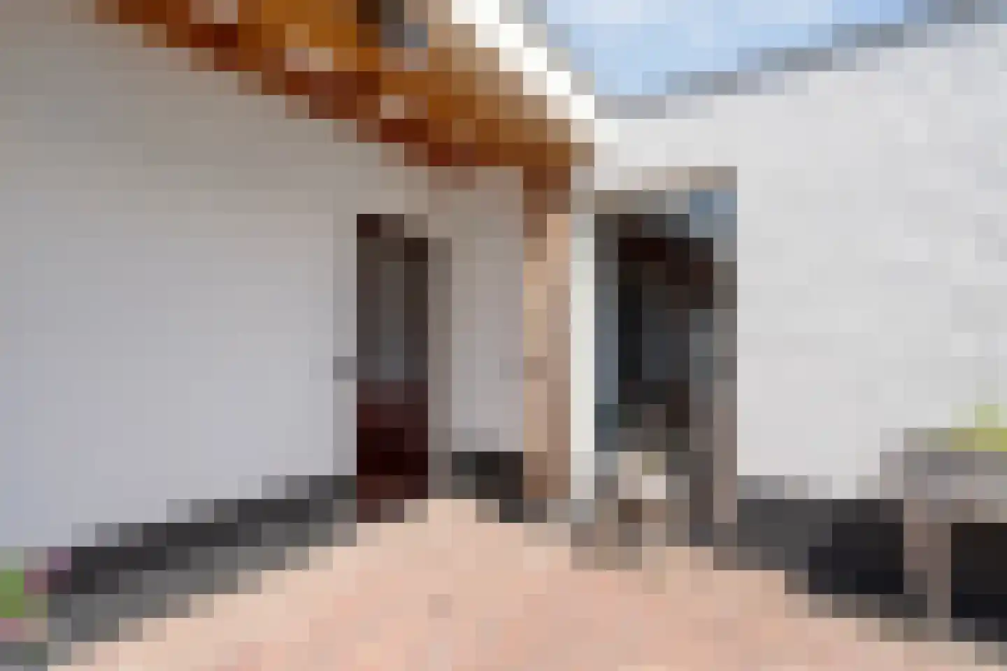 Ambachtsstraat 5 Nieuw Heeten thumbnail 58