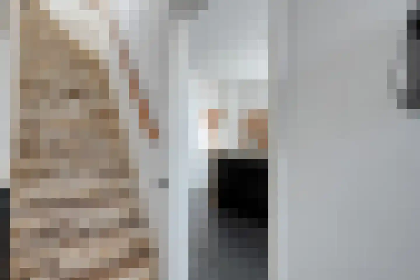 Ambachtsstraat 5 Nieuw Heeten thumbnail 6