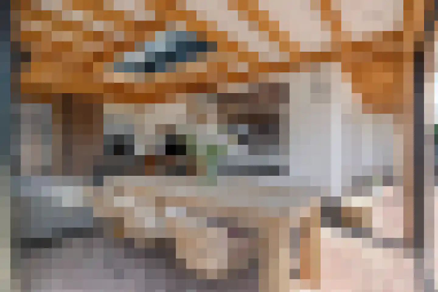Ambachtsstraat 5 Nieuw Heeten thumbnail 60