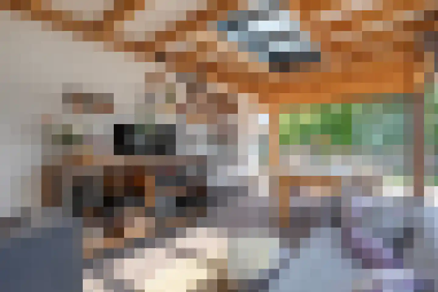 Ambachtsstraat 5 Nieuw Heeten thumbnail 64