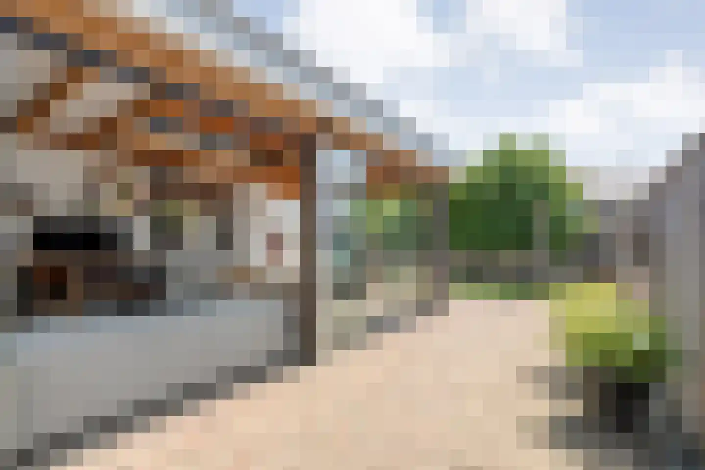 Ambachtsstraat 5 Nieuw Heeten thumbnail 66
