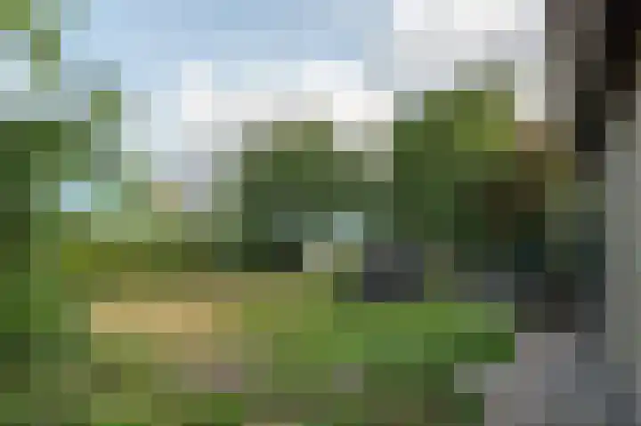 Ambachtsstraat 5 Wolvega thumbnail 10