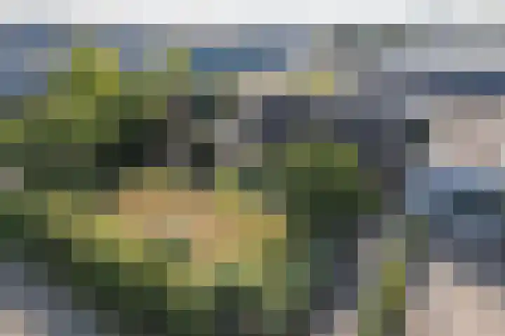 Ambachtsstraat 5 Wolvega thumbnail 13