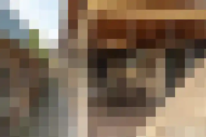 Ambachtsstraat 5 Wolvega thumbnail 17
