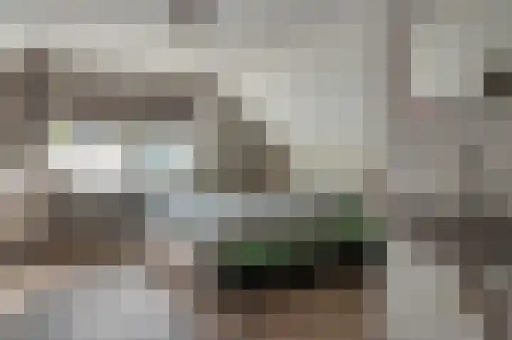 Ambachtsstraat 5 Wolvega thumbnail 34