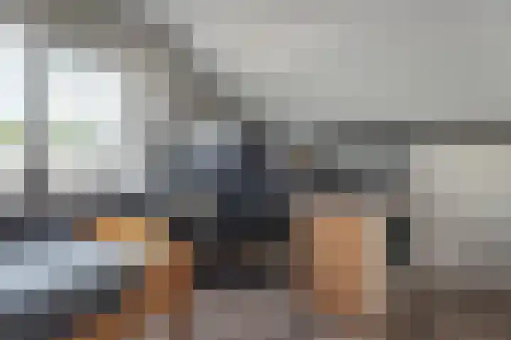 Ambachtsstraat 5 Wolvega thumbnail 35