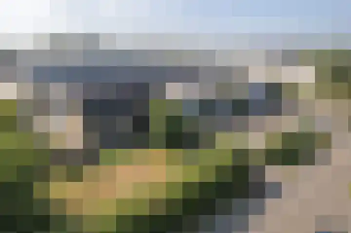 Ambachtsstraat 5 Wolvega thumbnail 38