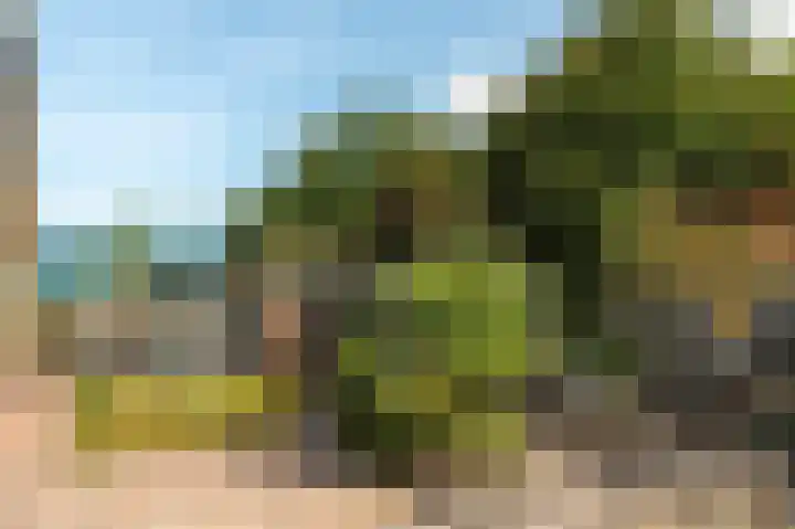 Ambachtsstraat 5 Wolvega thumbnail 6