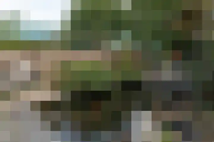 Ambachtsstraat 5 Wolvega thumbnail 8