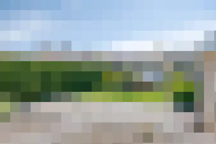 Ambachtsstraat 55 's-Gravenpolder thumbnail 19