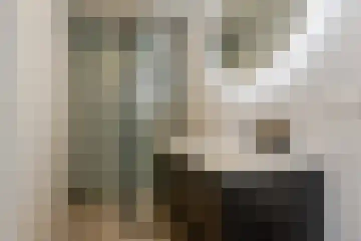 Ambachtsstraat 7 Schoonhoven thumbnail 30