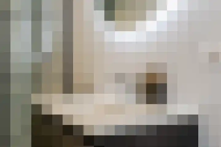 Ambachtsstraat 7 Schoonhoven thumbnail 32