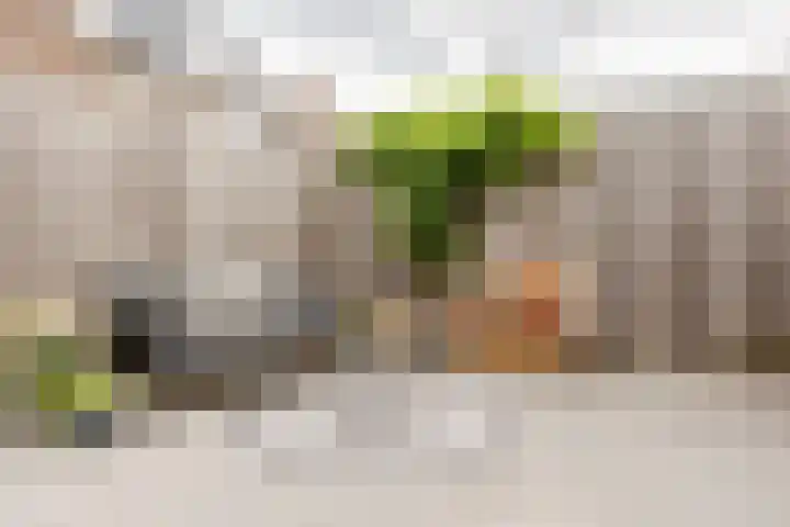 Ambachtsstraat 7 Schoonhoven thumbnail 47