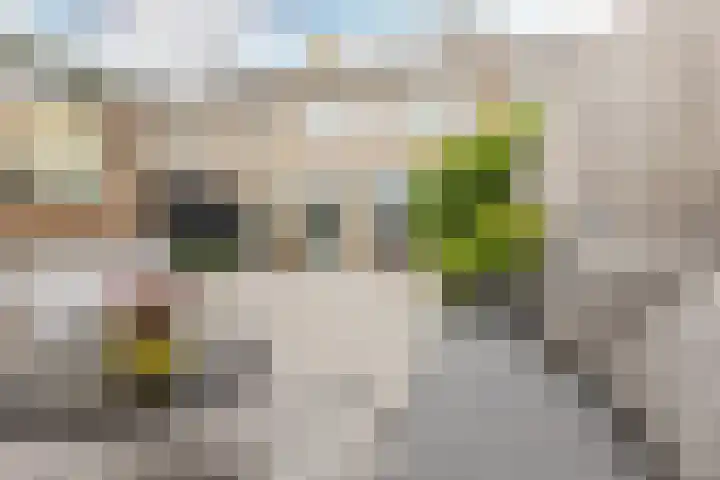Ambachtsstraat 7 Schoonhoven thumbnail 50