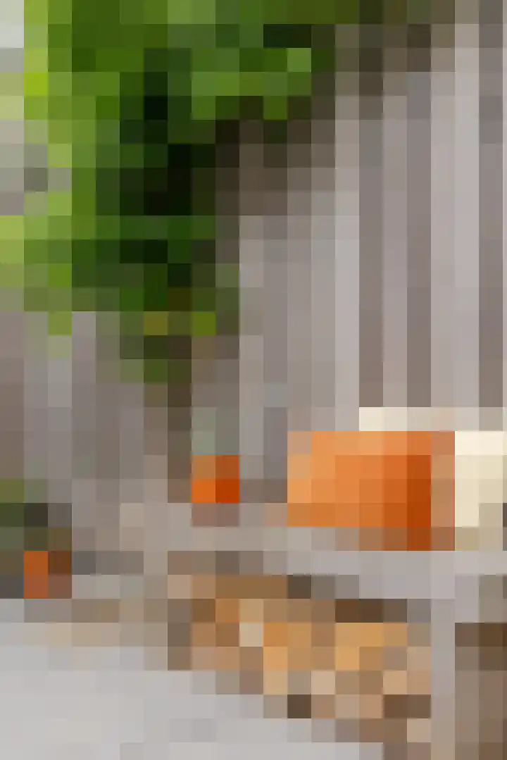 Ambachtsstraat 7 Schoonhoven thumbnail 83