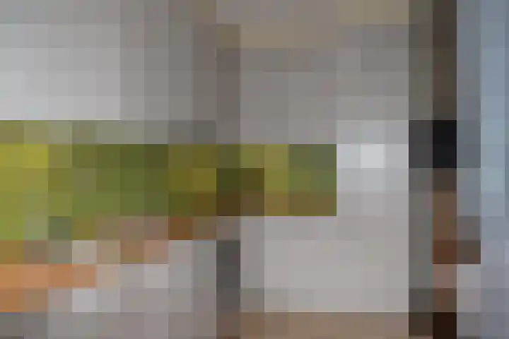 Ambachtsstraat 8 Schoonhoven thumbnail 8