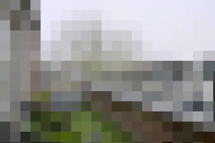 Ambachtstraat 10 B Brummen thumbnail 12