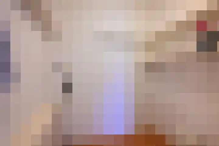Ambachtstraat 10 B Brummen thumbnail 14