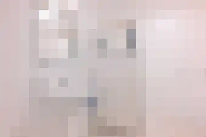Ambachtstraat 10 B Brummen thumbnail 22