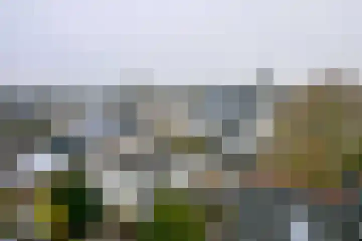 Ambachtstraat 10 B Brummen thumbnail 30