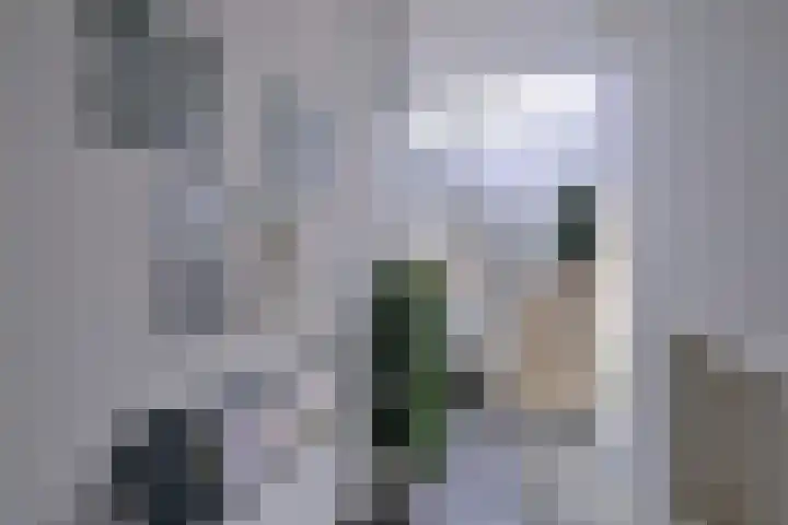 Ambachtstraat 10 B Brummen thumbnail 34