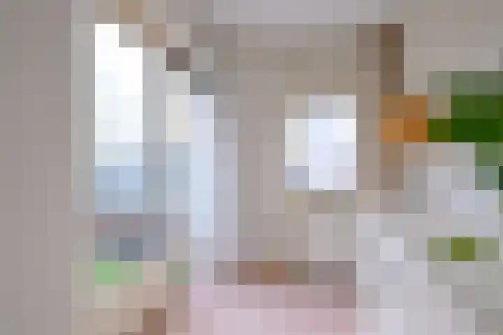 Ambachtstraat 10 B Brummen thumbnail 9
