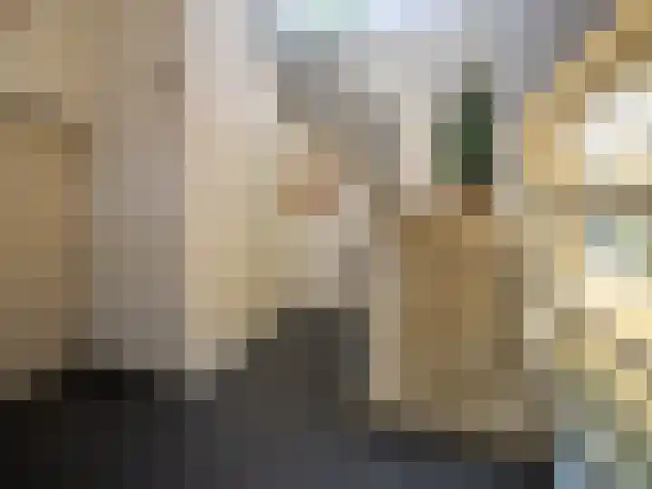 Ambachtstraat 10 Brummen thumbnail 23