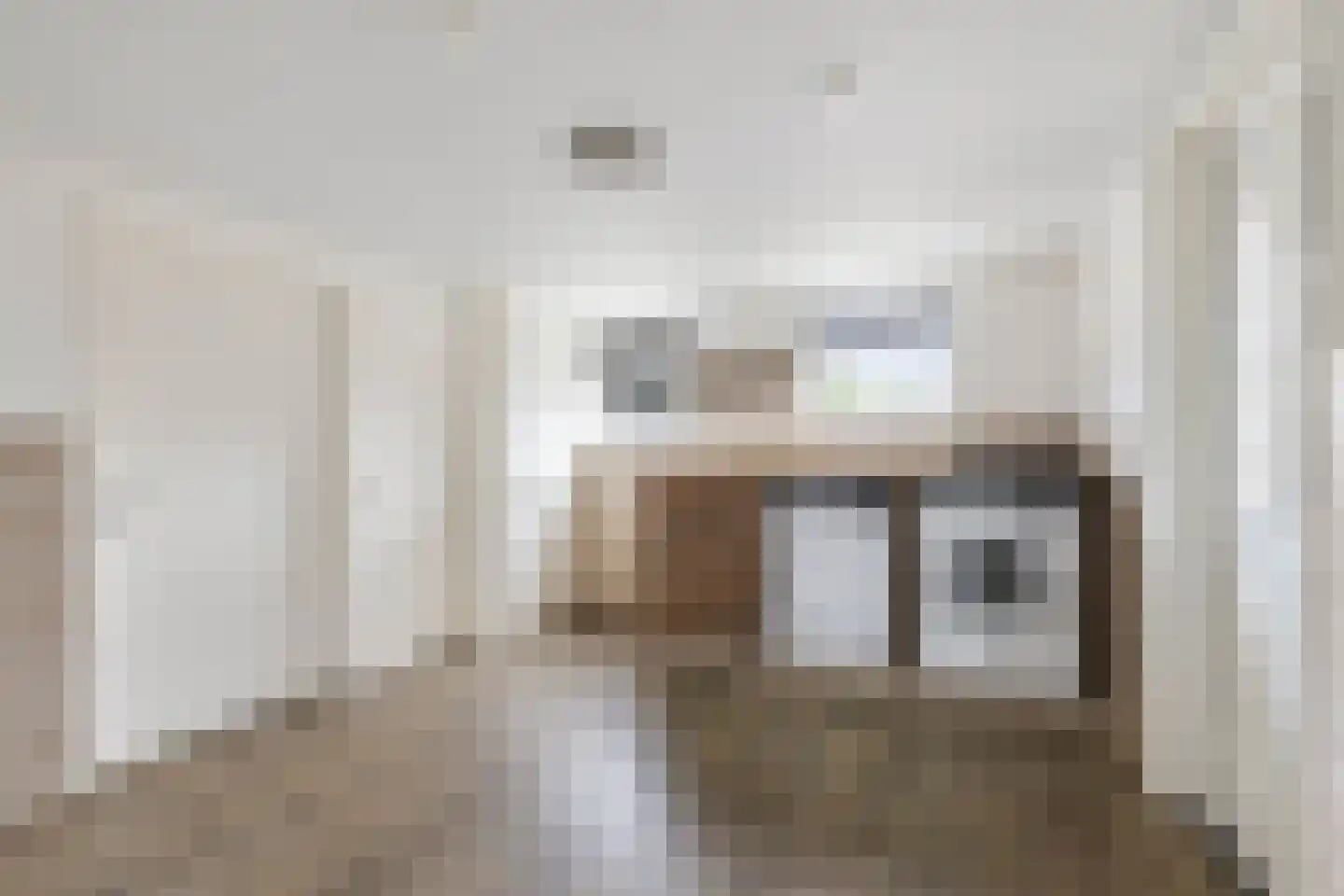 Ambachtstraat 10 Didam thumbnail 11
