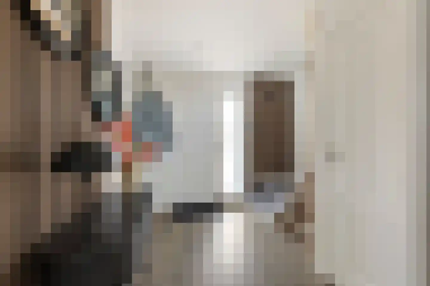 Ambachtstraat 10 Didam thumbnail 15