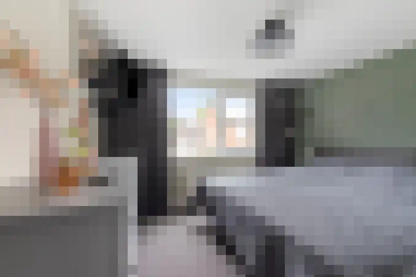 Ambachtstraat 10 Didam thumbnail 18