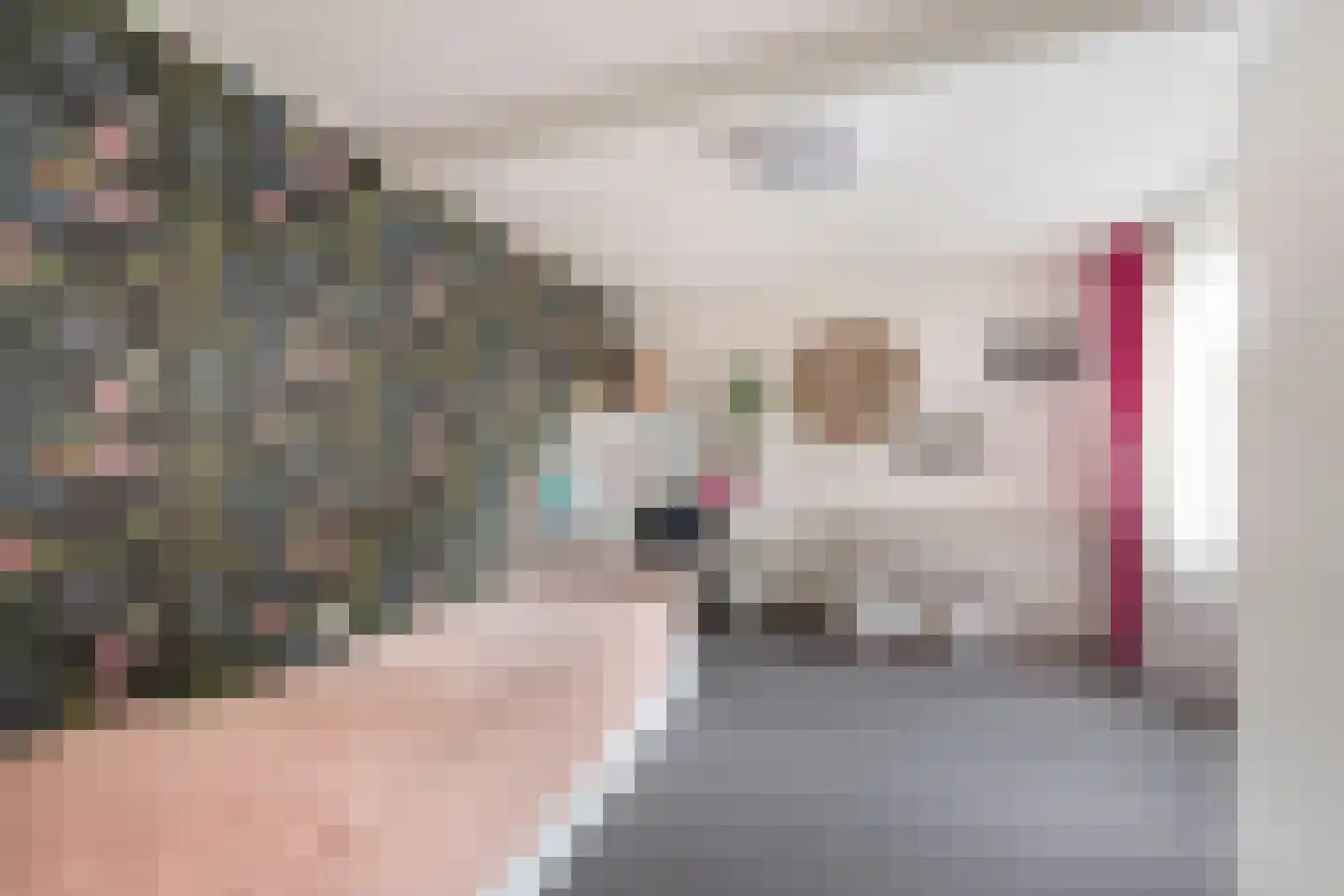 Ambachtstraat 10 Didam thumbnail 21