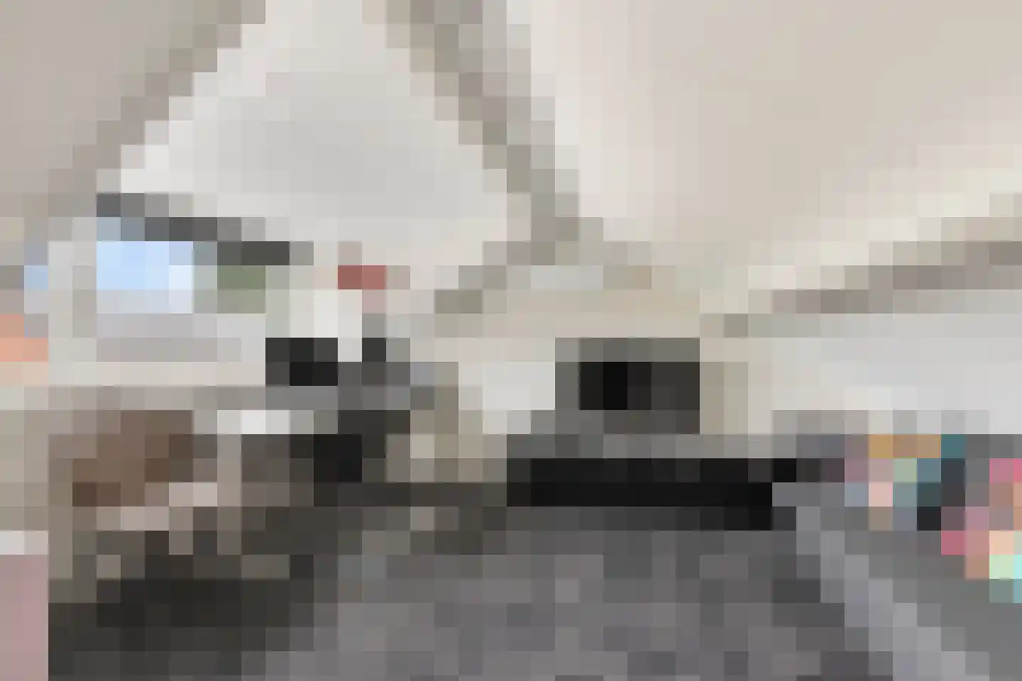 Ambachtstraat 10 Didam thumbnail 26