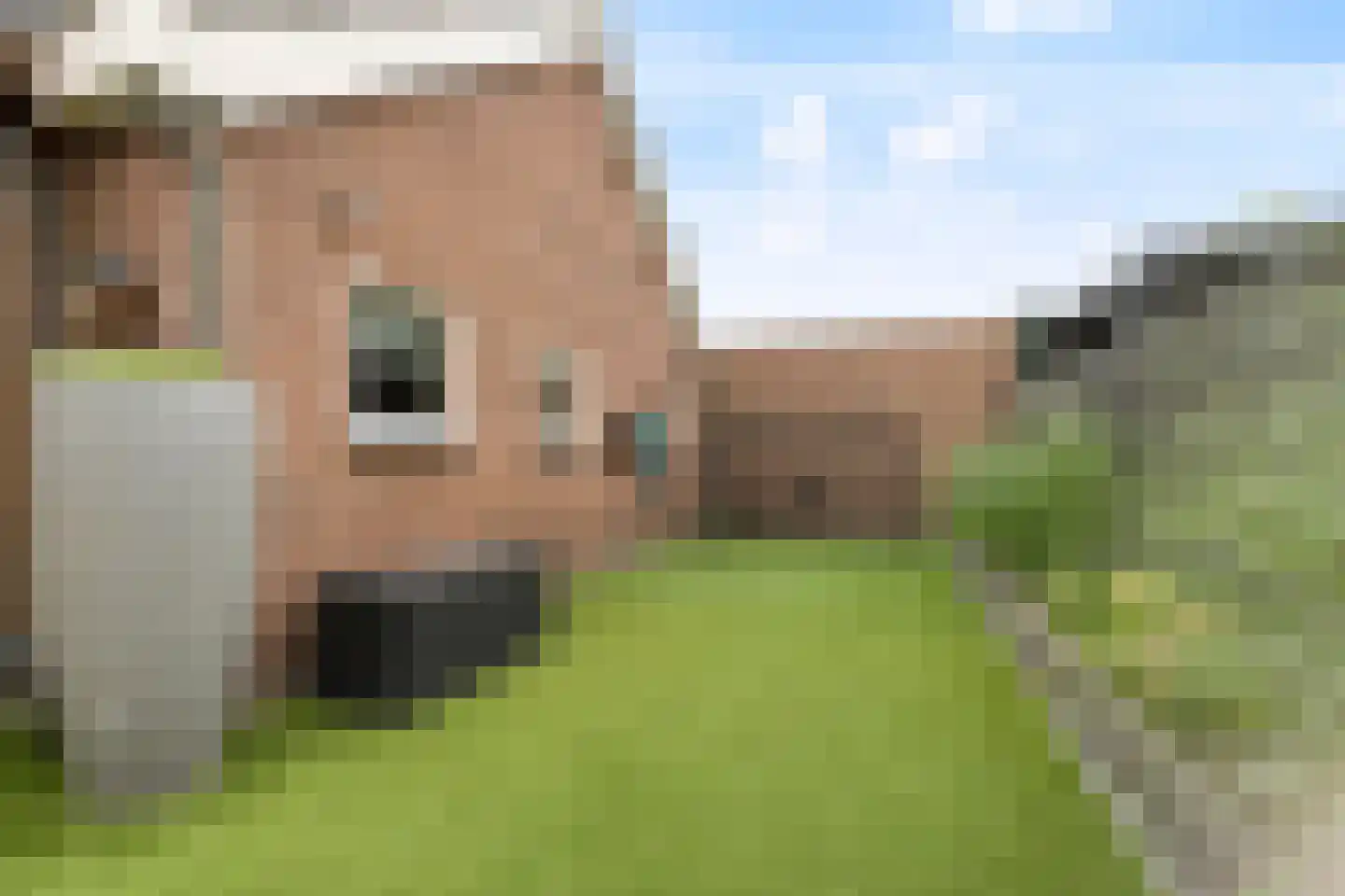 Ambachtstraat 10 Didam thumbnail 27
