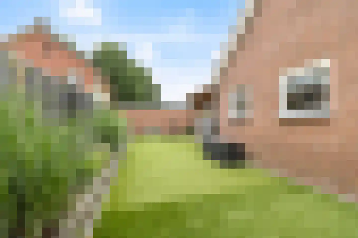 Ambachtstraat 10 Didam thumbnail 28