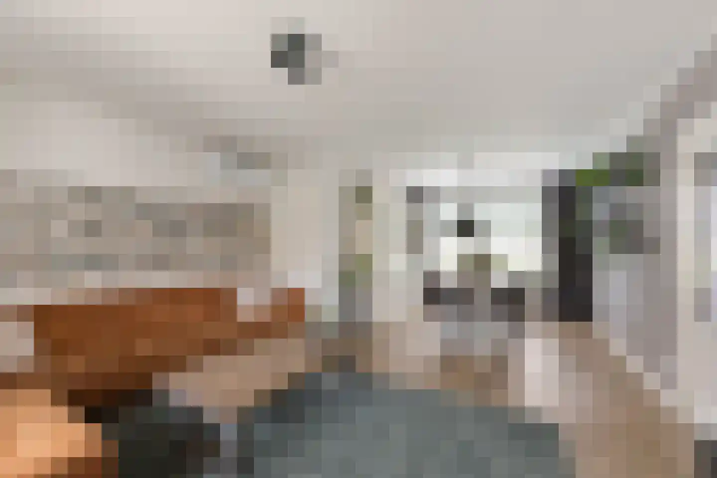 Ambachtstraat 10 Didam thumbnail 4