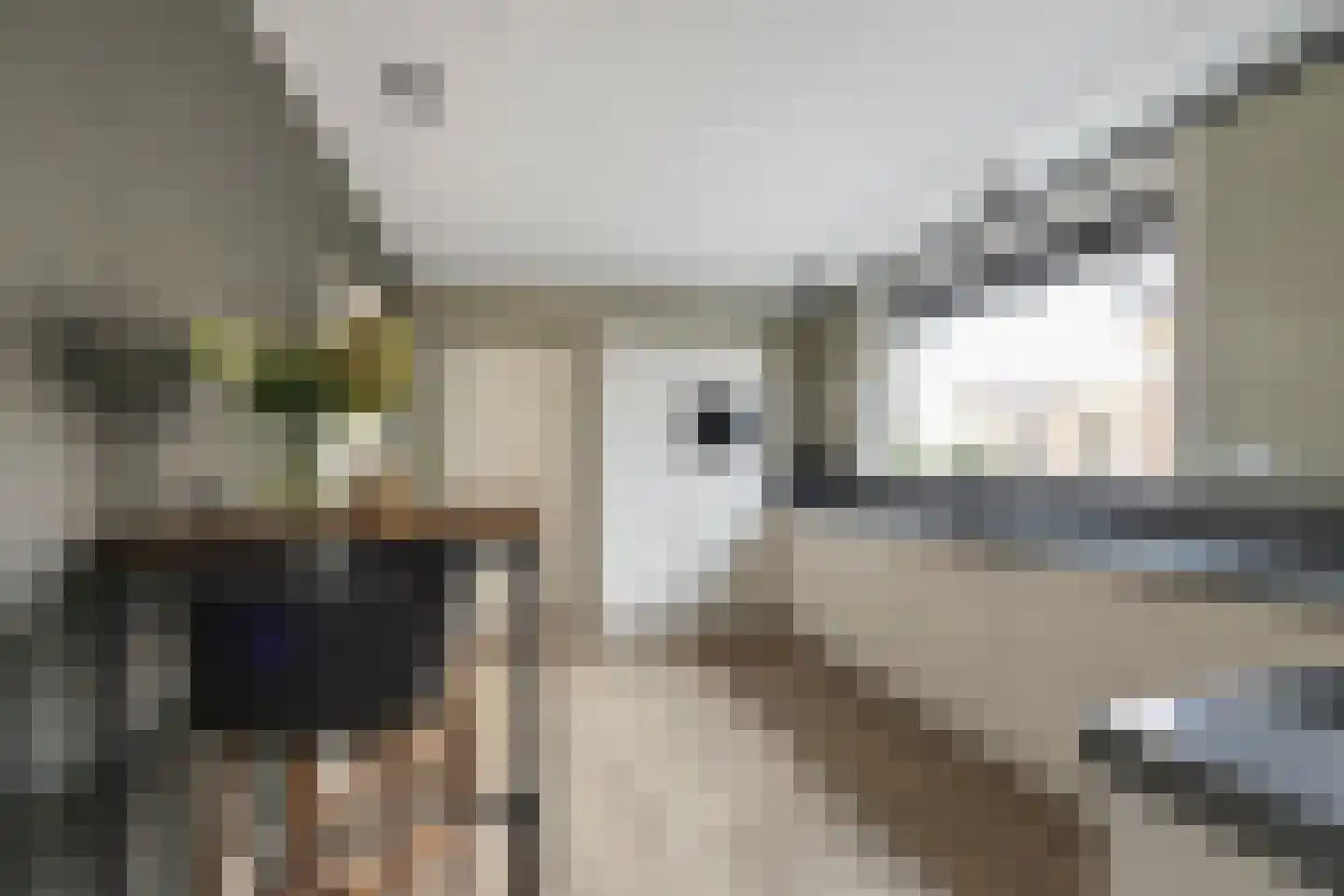 Ambachtstraat 10 Didam thumbnail 6