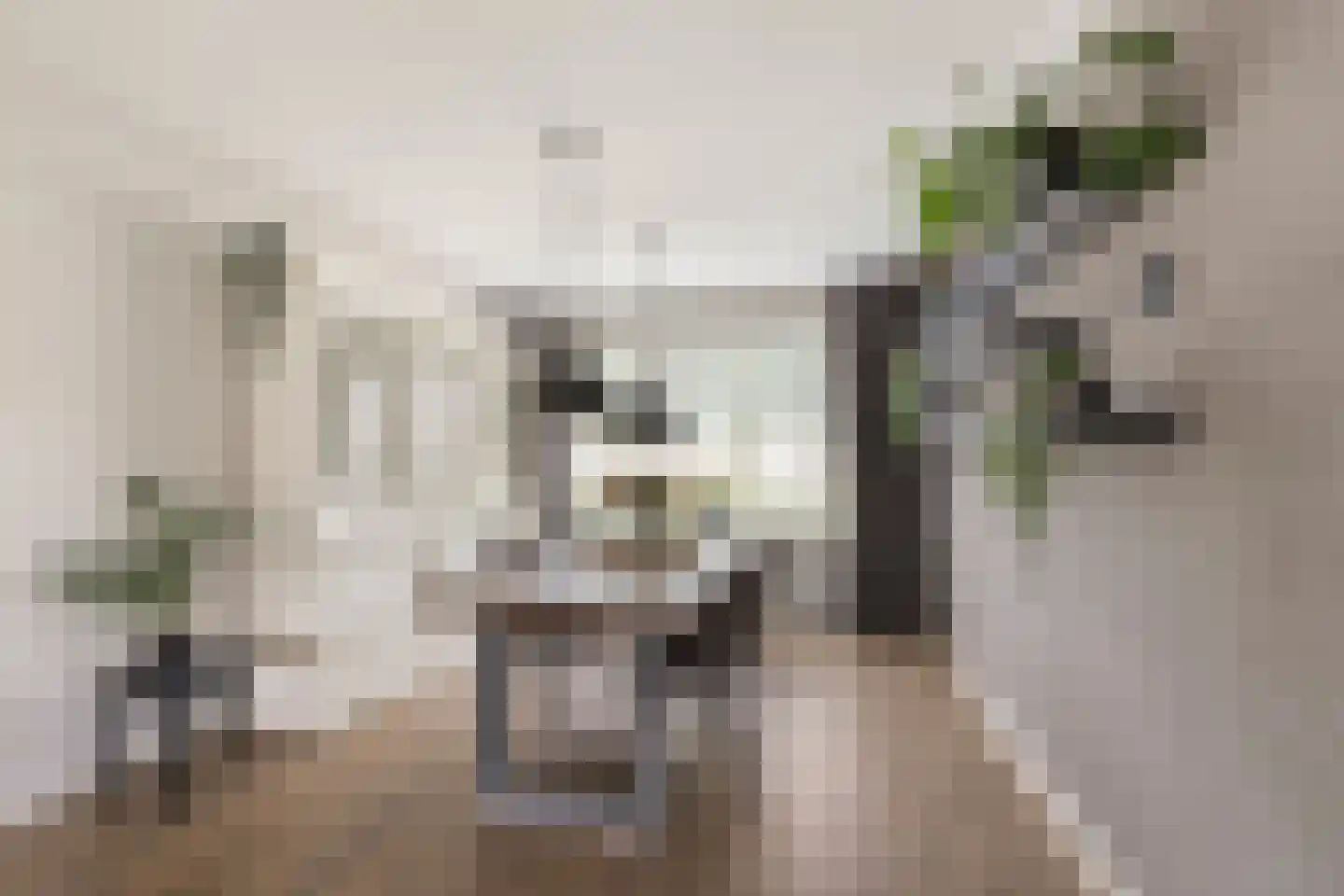 Ambachtstraat 10 Didam thumbnail 7