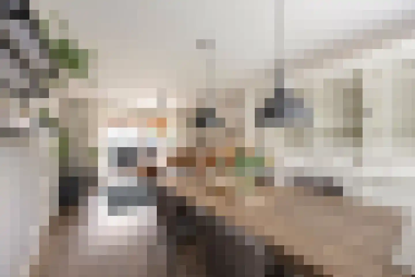 Ambachtstraat 10 Didam thumbnail 8