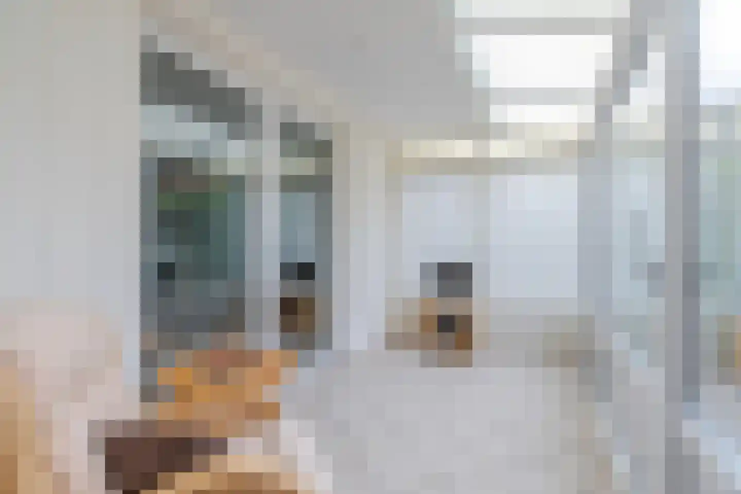 Ambachtstraat 11 Didam thumbnail 10