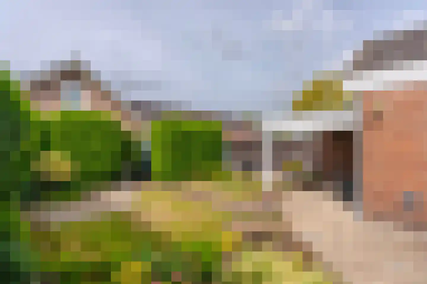 Ambachtstraat 11 Didam thumbnail 19