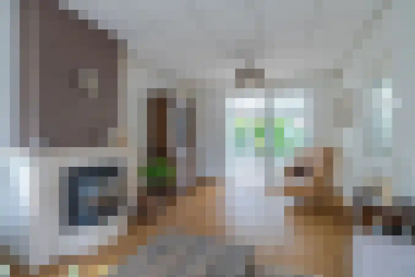 Ambachtstraat 11 Didam thumbnail 7